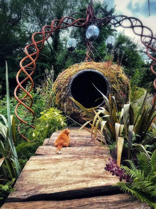 Truck & Pod Creative Nature Retreat. Bantry Esterno foto
